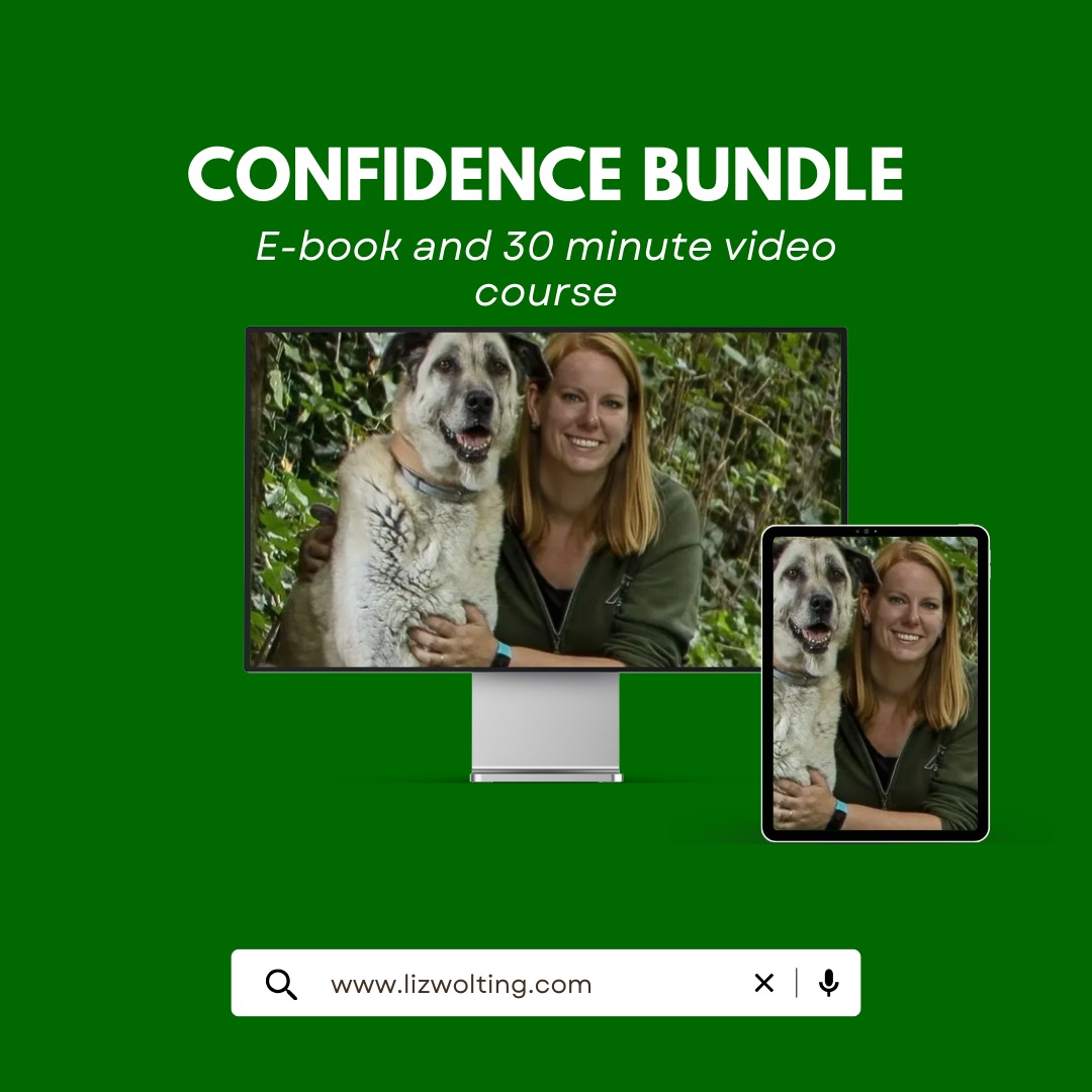 confidence bundle