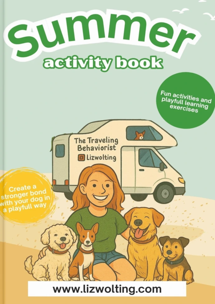 Summer Activity book