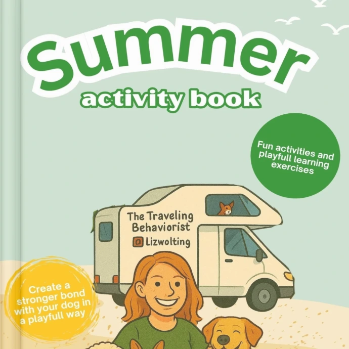Summer Activity book