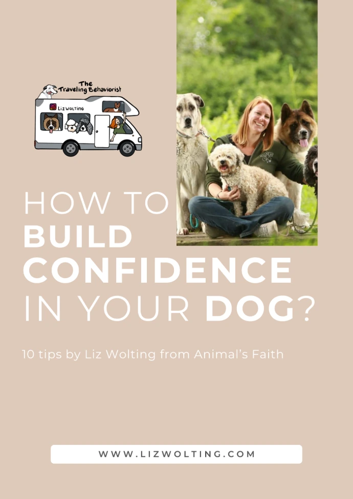 Build confidence ebook
